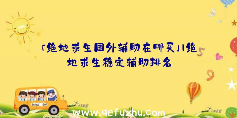 「绝地求生国外辅助在哪买」|绝地求生稳定辅助排名